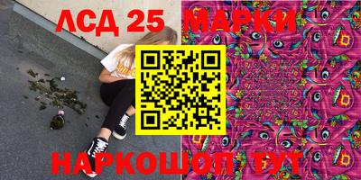 спиды Шахты