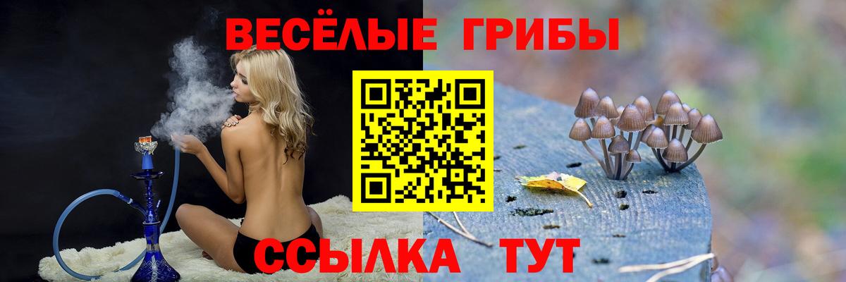 Псилоцибиновые грибы Cubensis  Вход с VPN  Урюпинск  Галлюциногенные грибы мицелий 